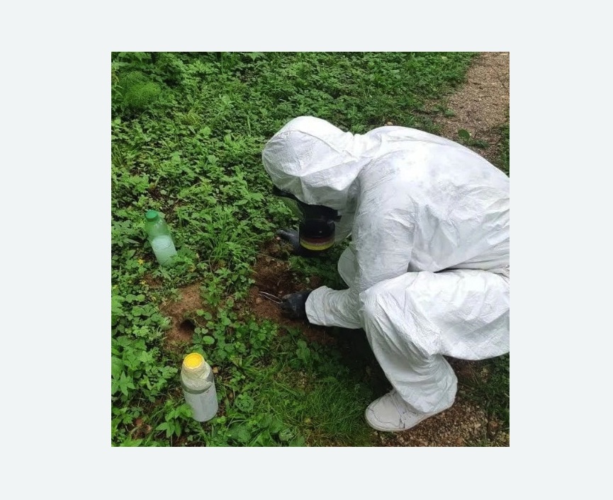 уничтожение кротов на участке в Сокольниках города Москвы